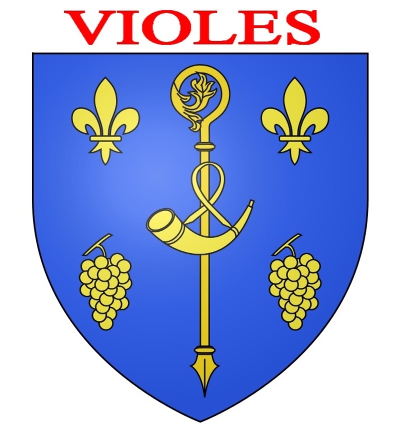 0-VIOLES-1.jpg